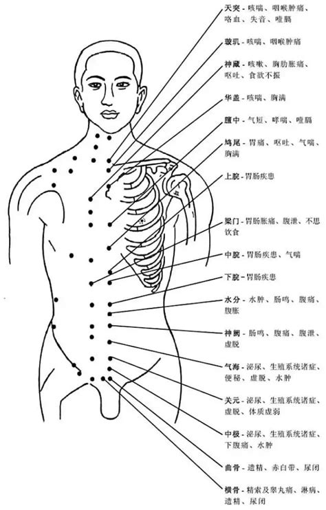 人身穴位圖